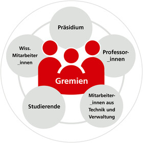 Die Gremien setzen sich aus dem Präsidium, Professor_innen, Mitarbeiter_innen und Studierenden zusammen